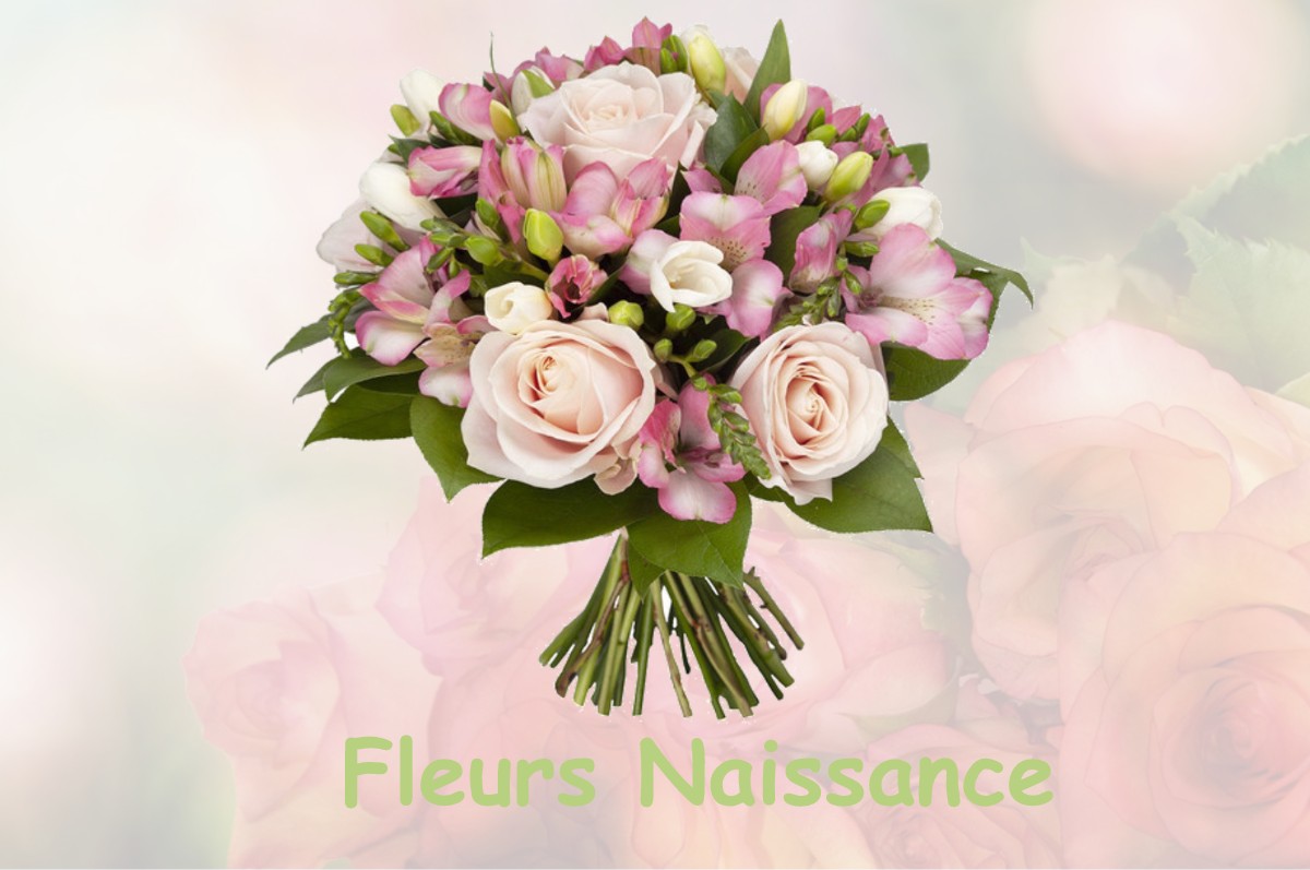 fleurs naissance L-ISLE-D-ABEAU