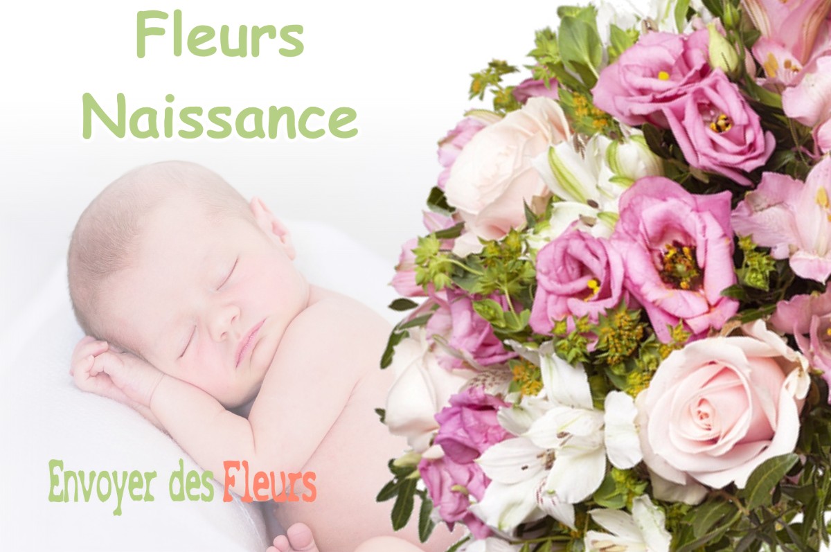 lIVRAISON FLEURS NAISSANCE à L-ISLE-D-ABEAU